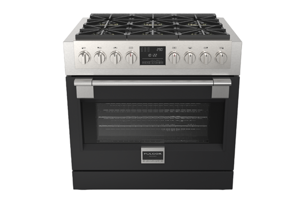 Духовой шкаф Fulgor SOFIA PROFESSIONAL                                                    
                            FSRC 3606 P MG ED 2F MBK FSRC 3606 P MG ED 2F MBK