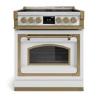 Варочная панель Gullo Fiorentina                                                    
                            1M002ZV0002A 1M002ZV0002A