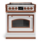 Варочная панель Gullo Fiorentina                                                    
                            1M002ZV0002A 1M002ZV0002A